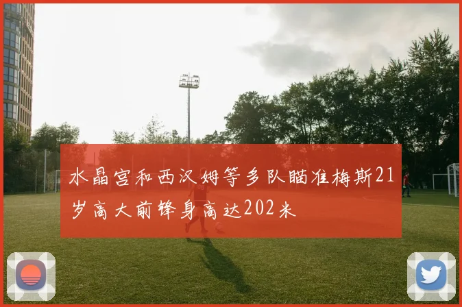 水晶宫和西汉姆等多队瞄准梅斯21岁高大前锋身高达202米